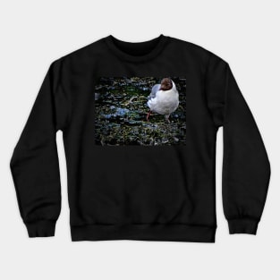 GULLIFIED Crewneck Sweatshirt